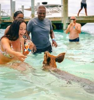 a group of people in the water with a shark