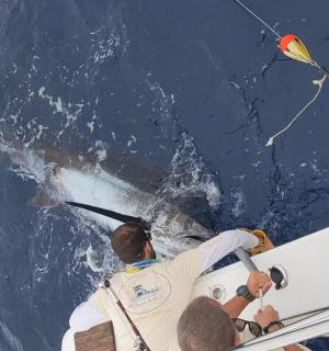 一名男子在水中的船上
