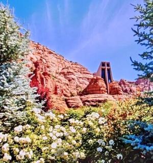 一座岩石山，山前有树木