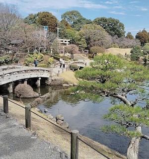 公园里河上的一座桥