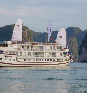a cruise ship on the water with mountains in the background