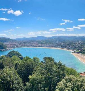 海滩和水域的景色