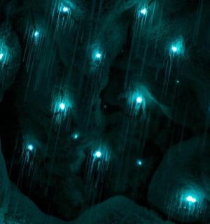a bunch of green lights in the dark