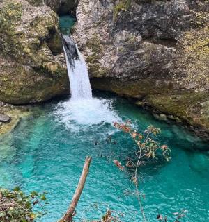 水池中央的瀑布