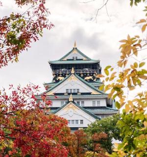 透过秋叶看到的日本塔