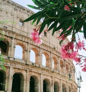 一栋前面有粉色花朵的建筑