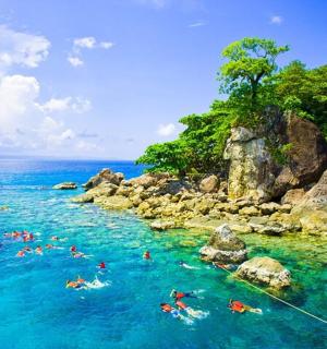 一群人在海里游泳