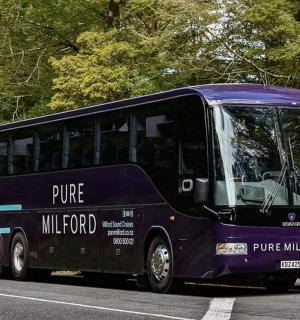 一辆紫色巴士正在路上行驶