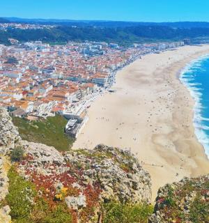an aerial view of a beach and the ocean