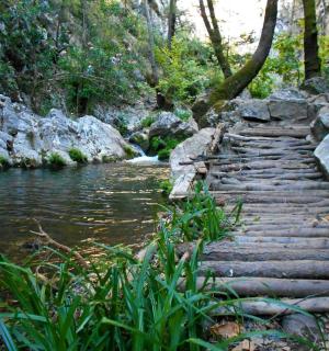 a set of stone steps next to a river