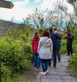 一群人沿着小路行走