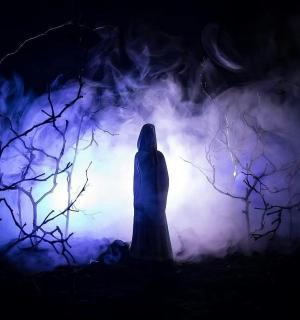 夜晚怪异森林中的幽灵身影