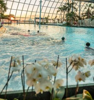 一个大型游泳池，里面有人在水里