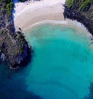 eine Luftaufnahme eines Strandes und des Ozeans