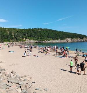 海滩上的一大群人