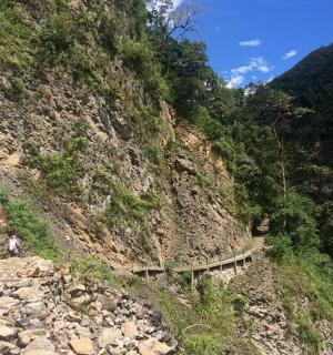 一名男子和一只狗在山路上行走