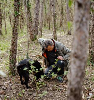 Ein Mann kniet neben einem Hund im Wald