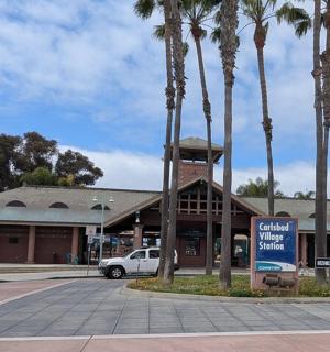 街道前有棕榈树的建筑