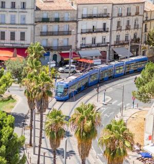 一列蓝色火车沿着棕榈树成荫的街道行驶