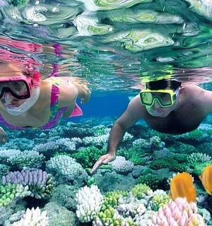 two people swimming over a coral reef