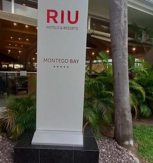 棕榈树建筑前的标志