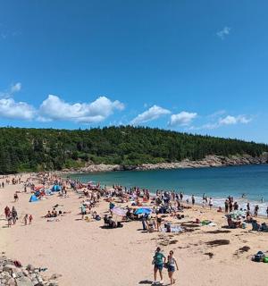 海滩上的一大群人