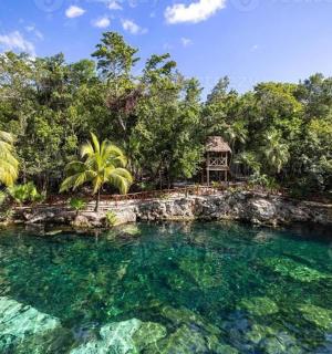 水中的小岛，背景是一栋房子