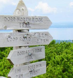 带有不同方向箭头的木牌