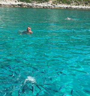 a group of people swimming in the water
