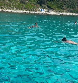 a group of people swimming in the blue water