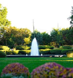 a fountain in the middle of a lush green park