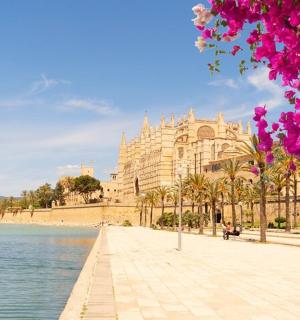 a building next to a body of water with pink flowers