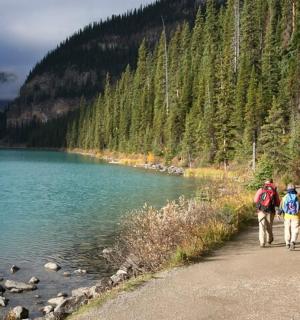 两个人沿着湖边的小路行走