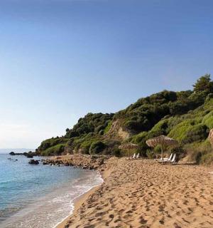 a beach with umbrellas and chairs and the ocean