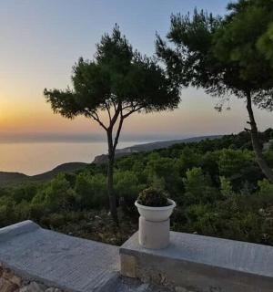 a plant in a pot sitting on a wall with the sunset