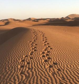 沙漠中的一对脚印