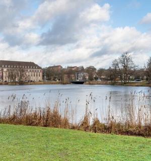 城市中大湖的景色