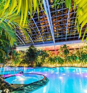 kolam renang yang besar di resort dengan pokok palma