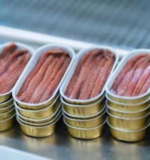 桌子上放着一堆英镑硬币