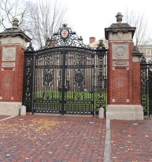 černá brána před budovou