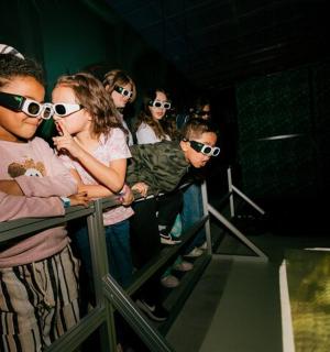 skupina lidí se slunečními brýlemi v davu