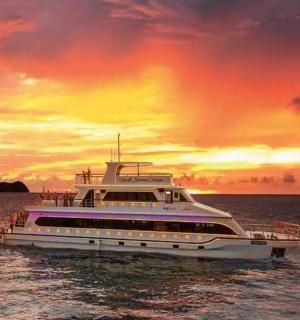 a cruise ship in the water with a sunset