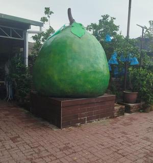 امرأة تمشي بجوار تمثال بطيخ كبير