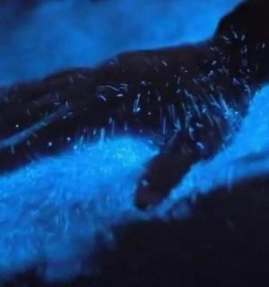 一双手放在蓝色物体上