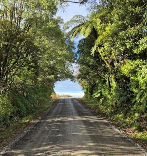 两边都有树的土路