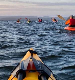 一群人在水中划皮艇