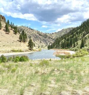 un fiume in mezzo a un campo con alberi