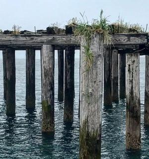 水中的一个旧码头