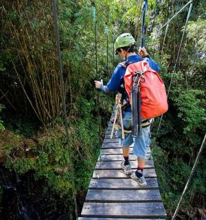 a man walking across a suspension bridge in the jungle