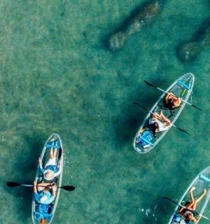 a group of people in kayaks in the water